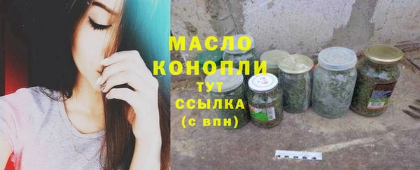 экстази Ельня