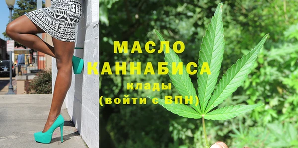 экстази Ельня